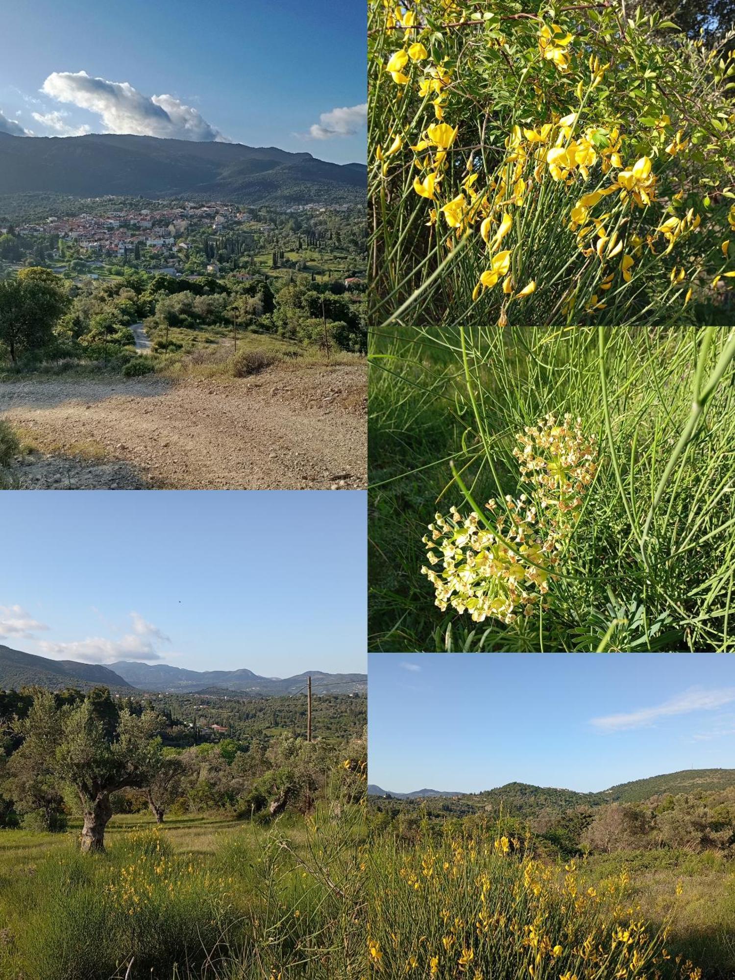 La Nature Konistres Exteriér fotografie